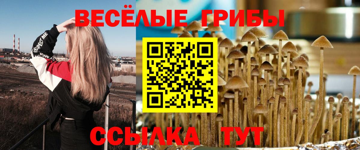 Галлюциногенные грибы мухоморы Котлас